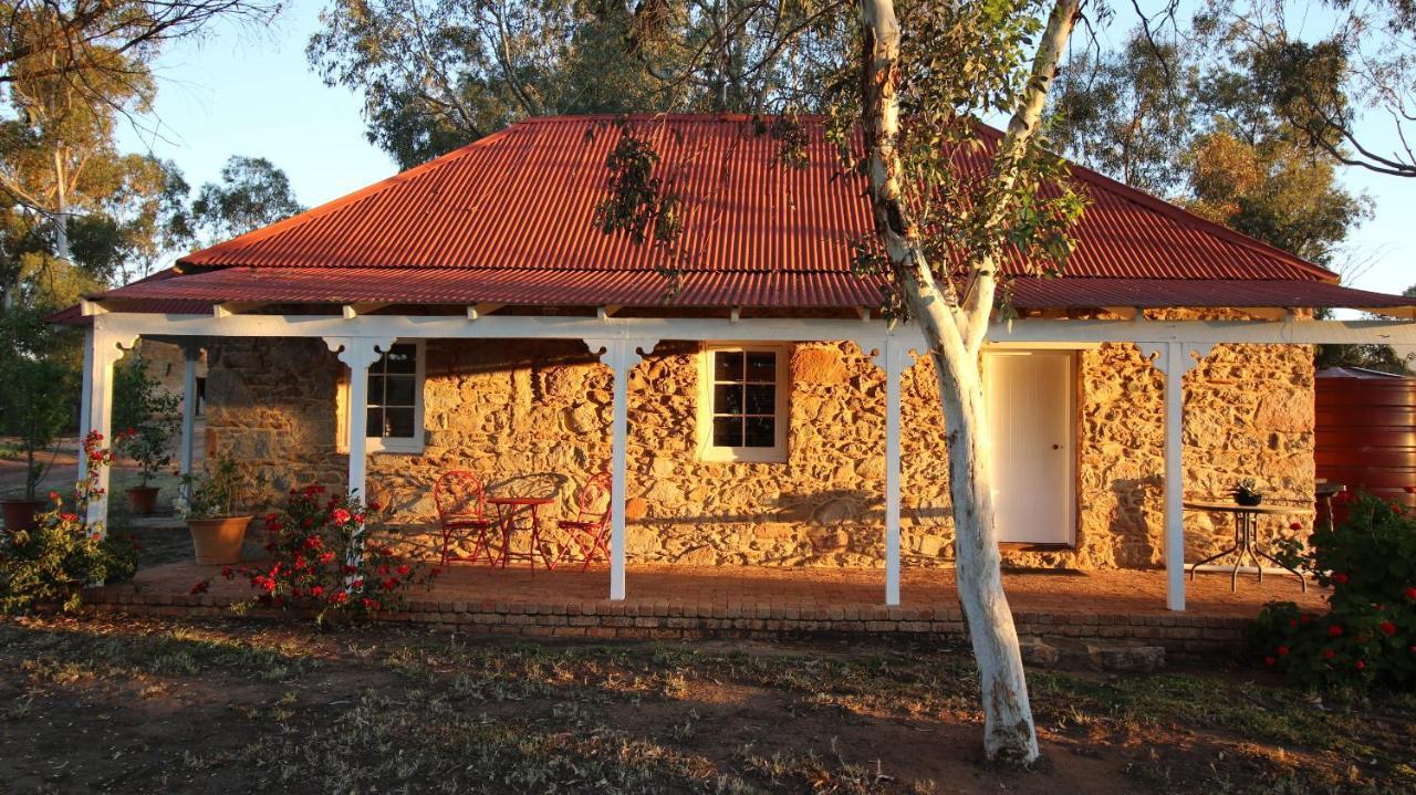 Dempster Cottage Irishtown Zewnętrze zdjęcie